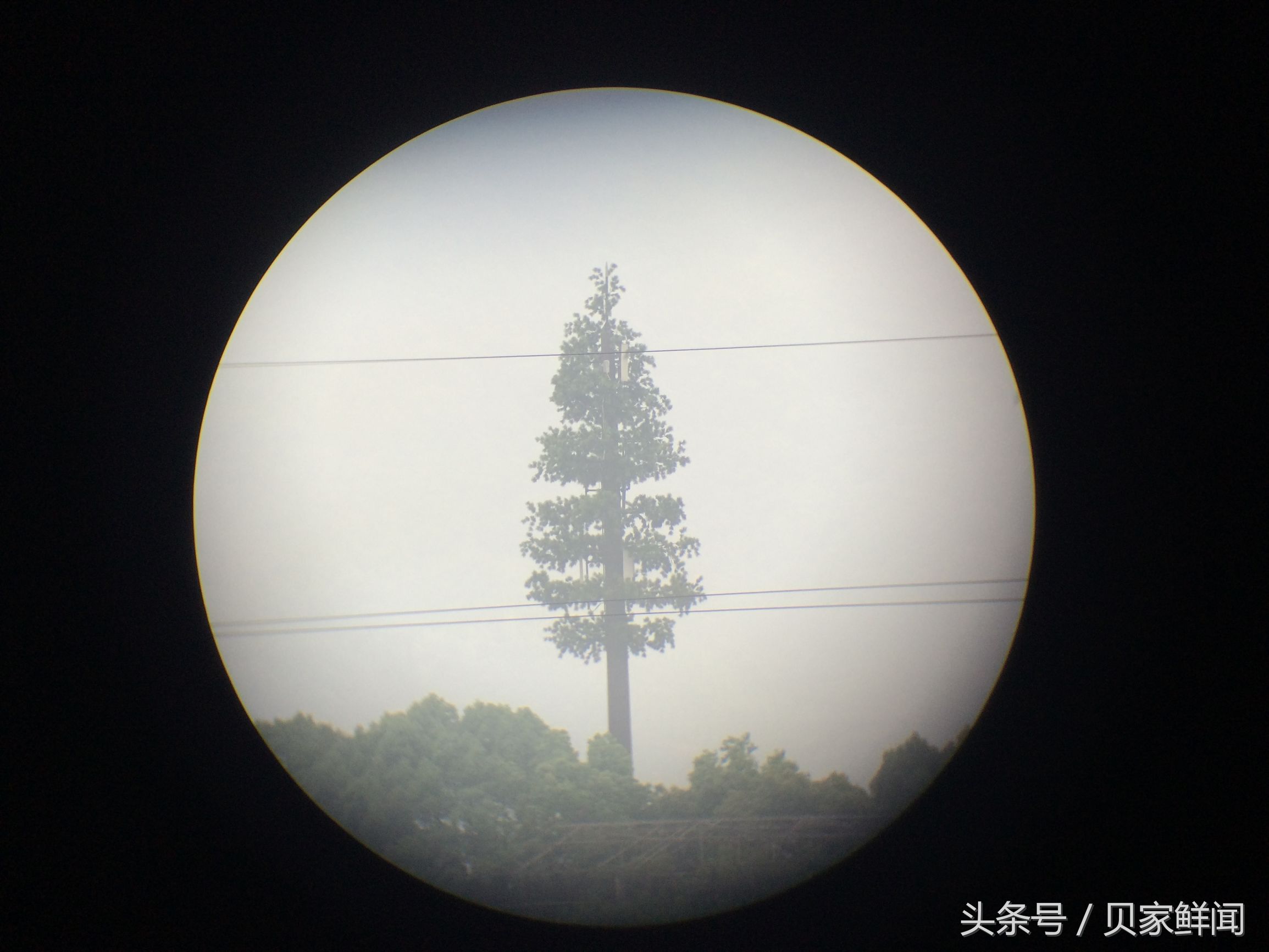 民用最大倍率望远镜,最小高倍望远镜