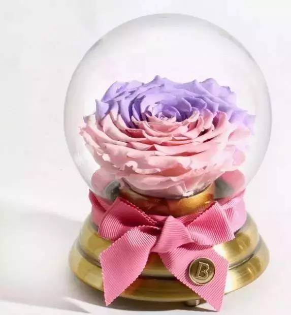 连曲筱绡这种富二代都用我们用得起的平价好物