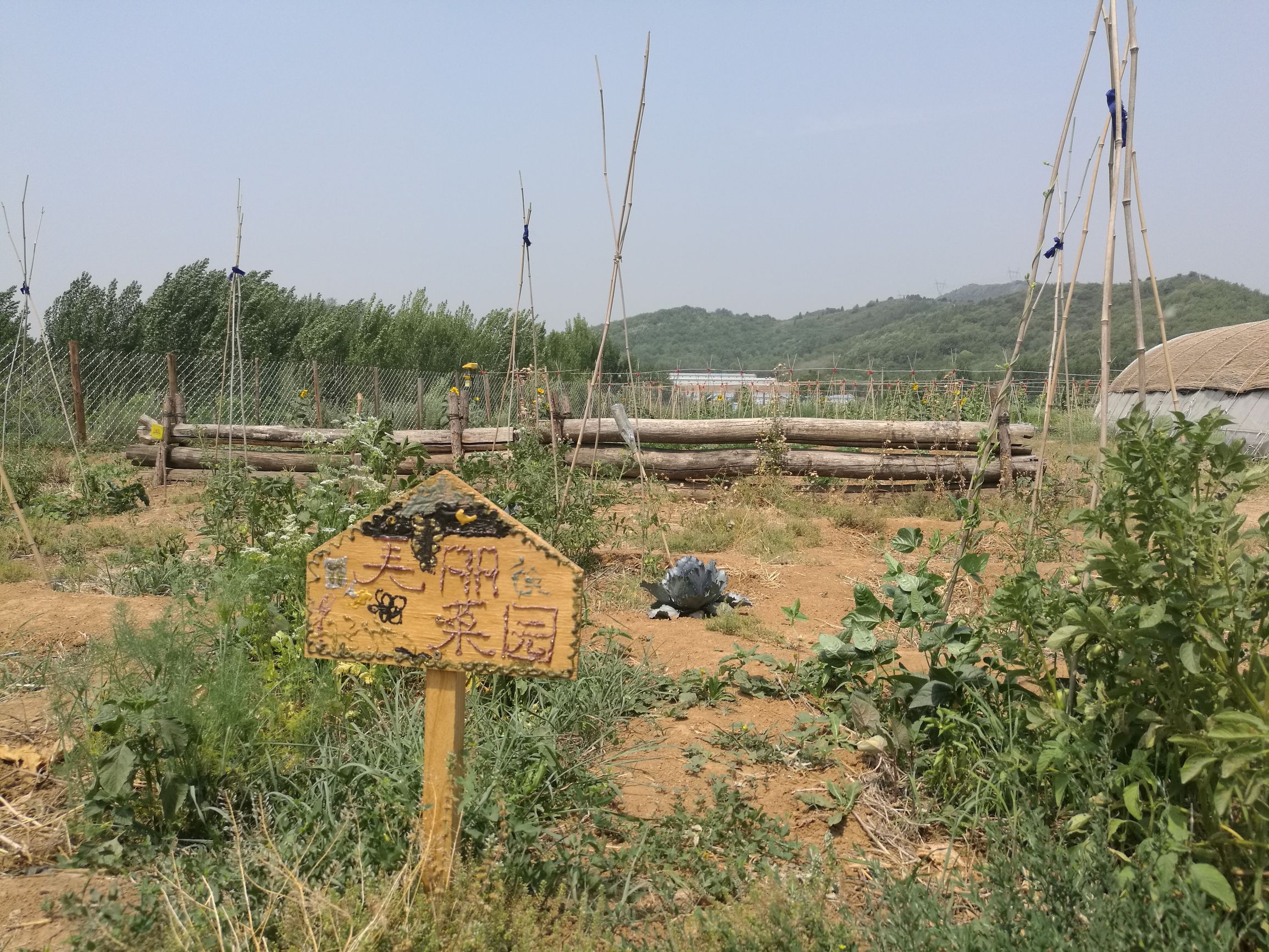 在沃思花园，感受自然与和谐