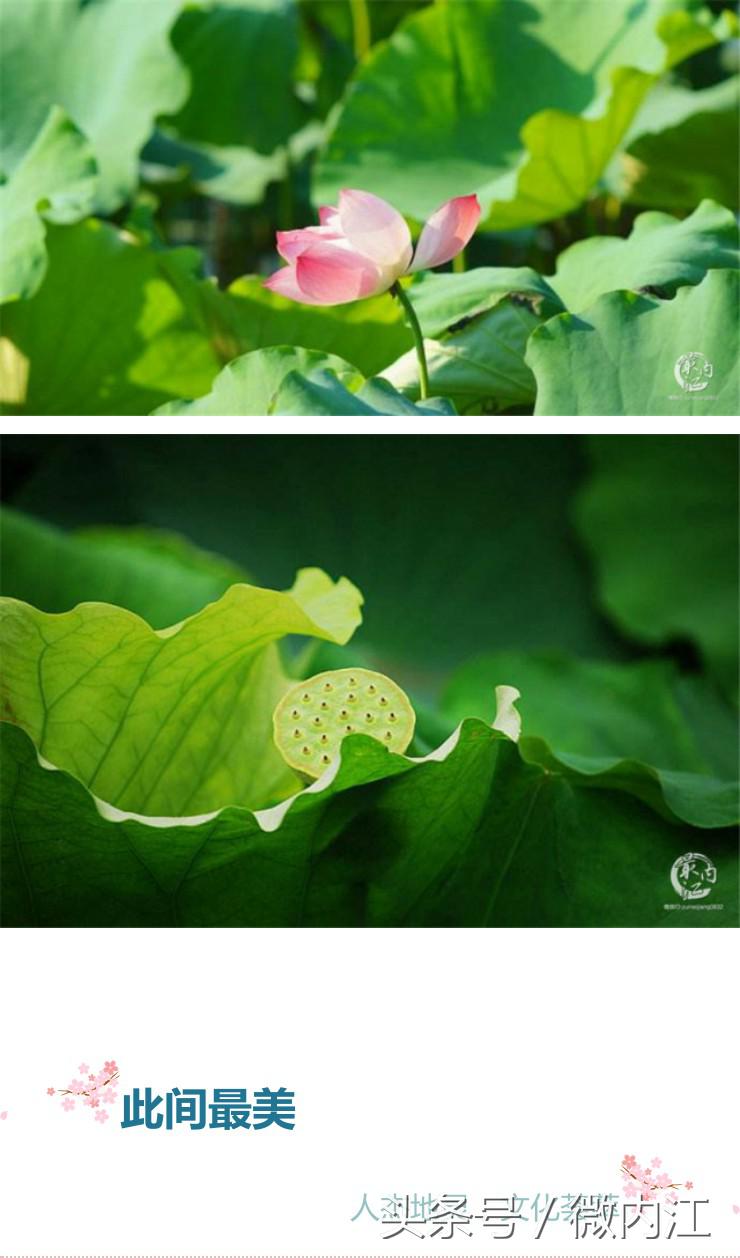 隆昌市创建天府旅游名县有望吗,内江市隆昌市第一大镇是哪里