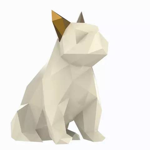 一颦一笑都是你！萌宠周边设计好推荐