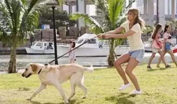 讲真｜论跑步，你可能还不如你家狗！