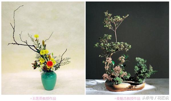 花艺插花花道有哪些区别,插花的几种基本造型花艺