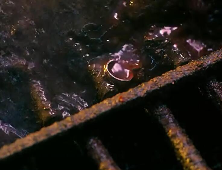 一张图看懂人性电影,人性扭曲的电影图解