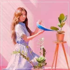 铃声回头率100%,回头率百分百的五首铃声