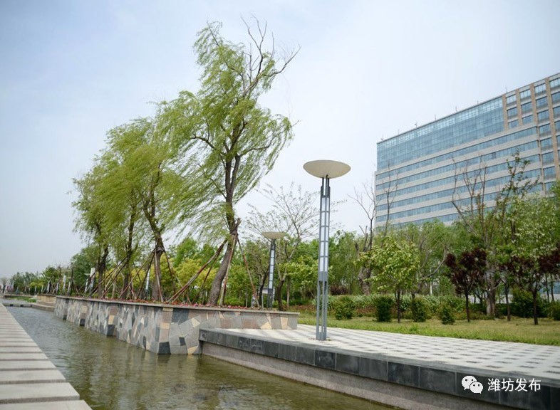 滨海新区推动十大工程规划建设 (滨海新区重点推介19个项目)