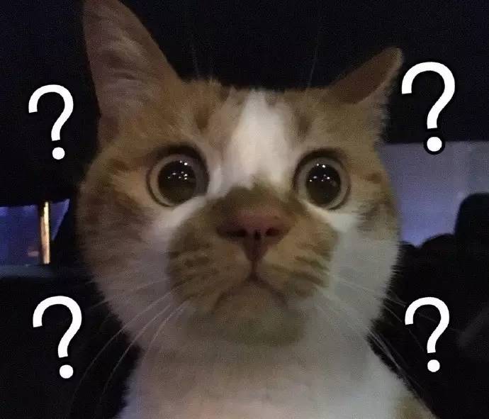 脑筋急转弯数学为什么会0分,笑笑考试得0分脑筋急转弯