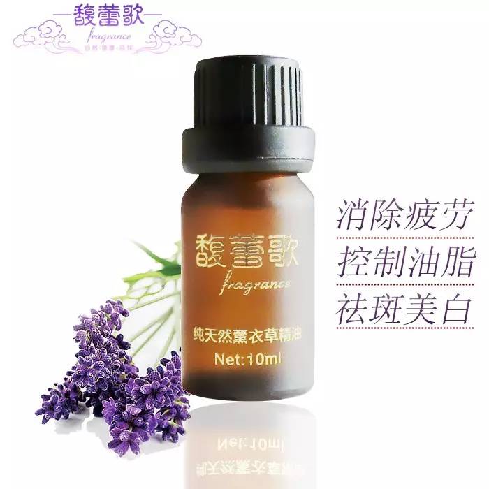 来金昌必买的东西,金昌旅游薰衣草