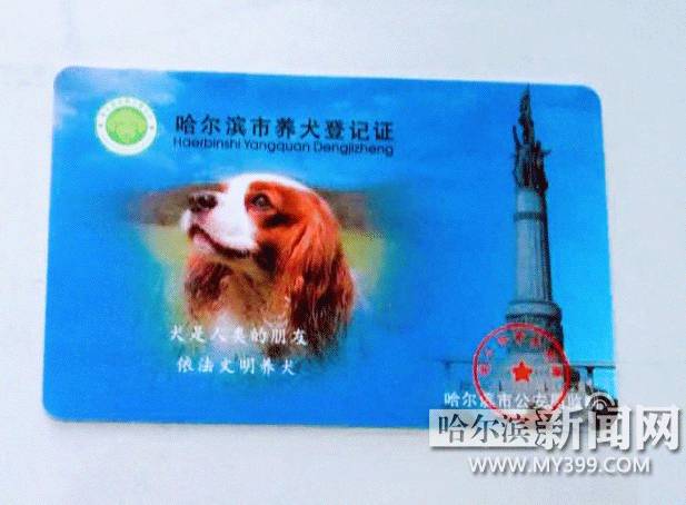 「爱犬」不花1分钱你的狗狗也能有“身份”了丨附8个*证办**地点及哈市禁养犬品种目录