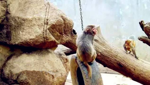 西安最有名旅游景点排名,西安十大值得去的景点排名