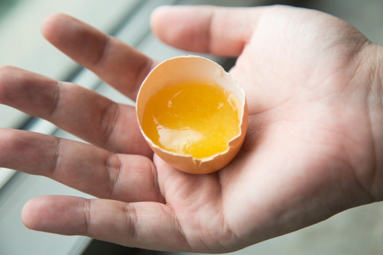 花一元品尝任意菜品,川食公馆为庆祝怡丰城店开业,也是给力了!