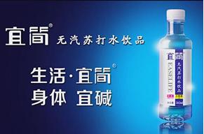 b2b平台发展问题,b2b平台产品商业分析