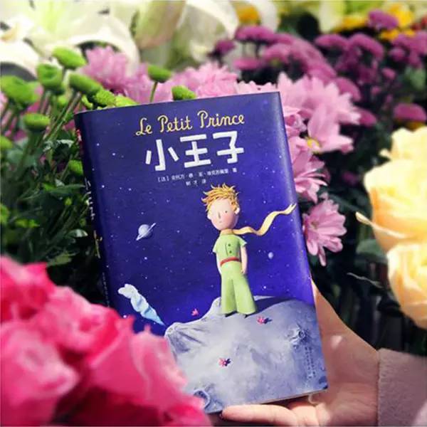 只有你是我独一无二的小玫瑰,只有你是我的独一无二