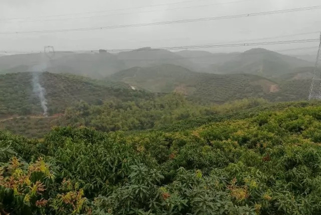 居然有人给芒果这种生物开世界大会,逼格升级,田东又要火上天啊!