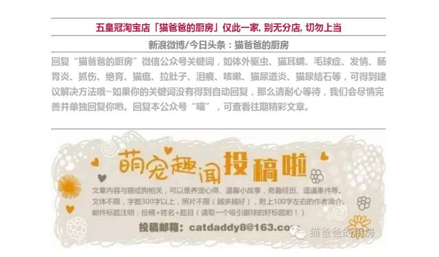 喵子这么漂亮的大眼睛，光是漂亮我多舍不得让他生结膜炎