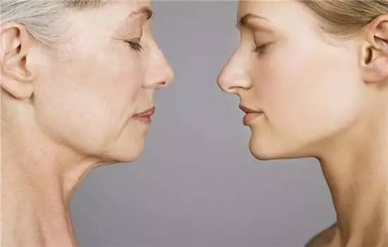 鍏斿瀹炴儬濂界墿鍒嗕韩,鍏斿濂界墿鍒嗕韩