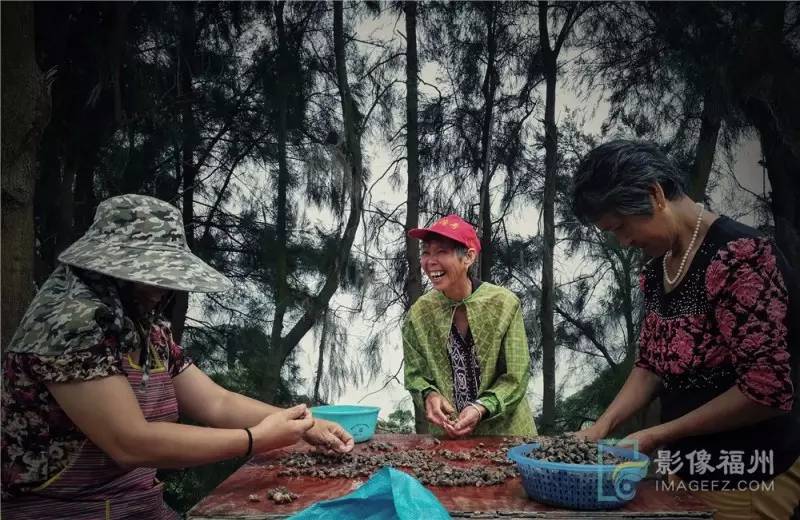 游茶山,游茶山竹海