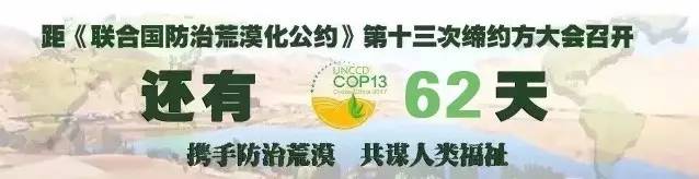 不仅是中国多个城市的市花~东胜的这个公园还以“它”的名字命名
