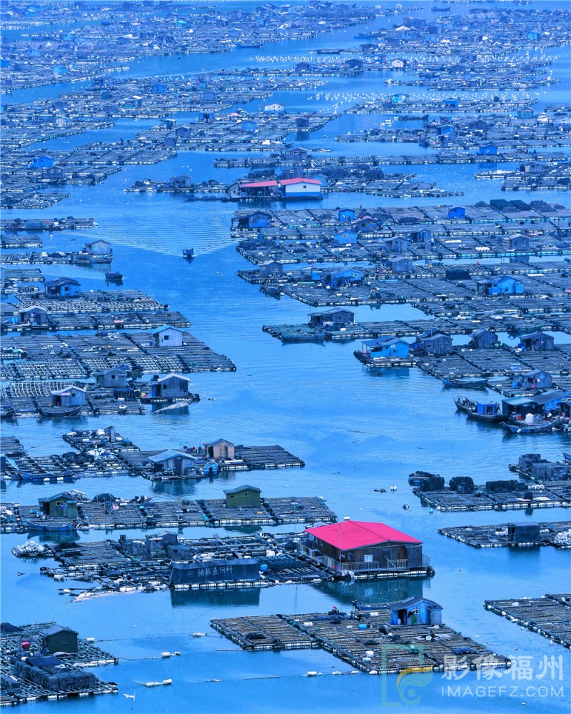 游茶山,游茶山竹海