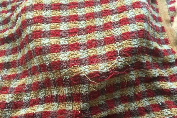 鐖卞績铔嬬硶鍔犵洘,鍏鐖卞績铔嬬硶