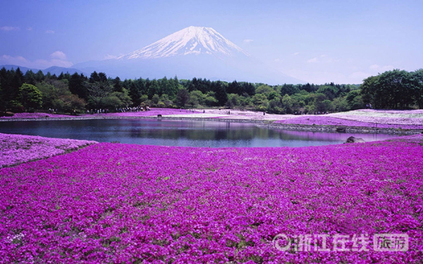 旅游退税方法,澳洲出境旅游退税攻略
