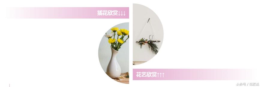 花艺插花花道有哪些区别,插花的几种基本造型花艺