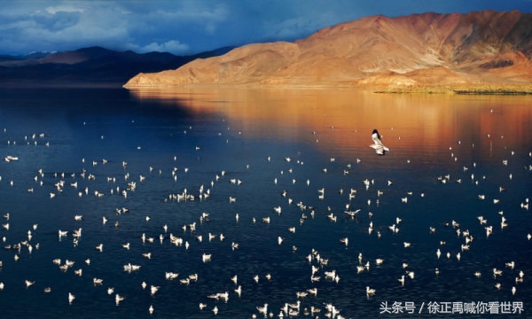 人在旅途第十八集下集,大学旅途感悟