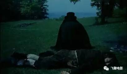 一头倔强的驴子,一头倔强的驴