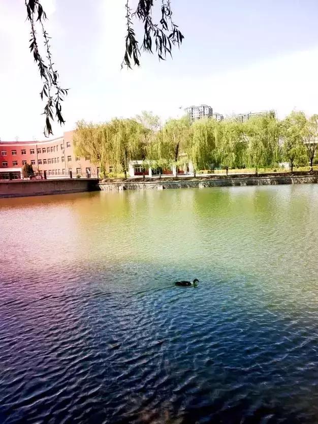 沈阳师范大学回忆,再见青春再见过往