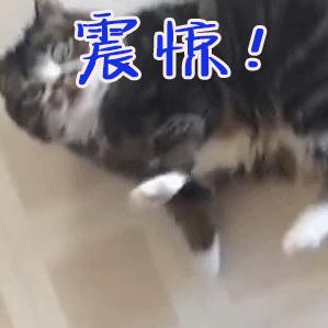 厉害了银川二中,银川二中在全国排名