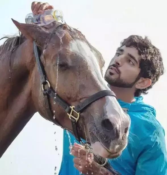 沙特最帅王子哈曼丹,阿联酋王子哈曼丹照片