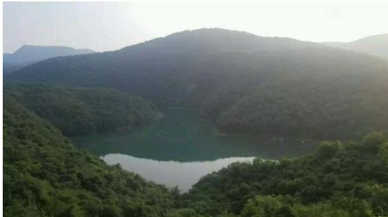 中华草龟与台湾草龟,中华草龟跟草龟有什么区别图