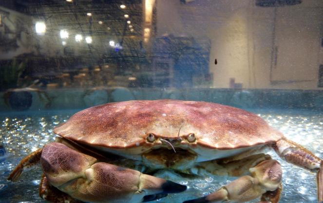 别走弯路了，今年养殖这十种动物“钱景最好”