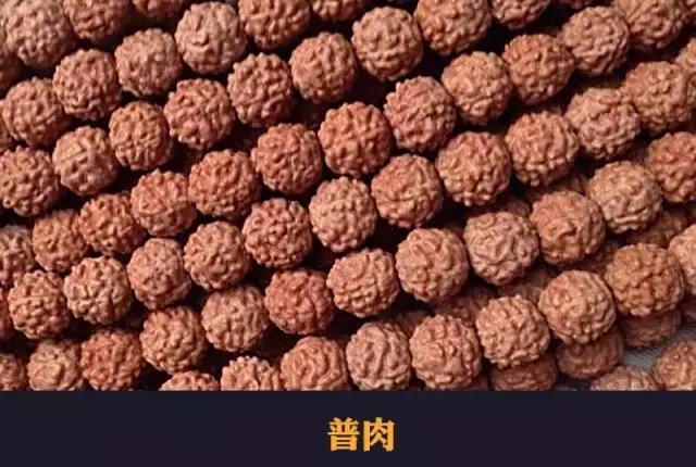 目前最火的小金刚,小金刚什么纹路值得拥有