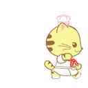 多肉植物贵货老桩都开始降价啦!到底要不要入手?来听听有经验的大神怎么说