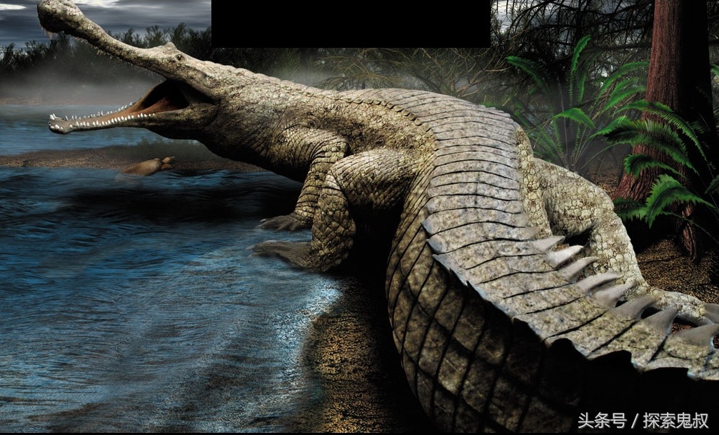 咬合力最强的动物鳄鱼,鳄鱼系列上咬合力最强的动物