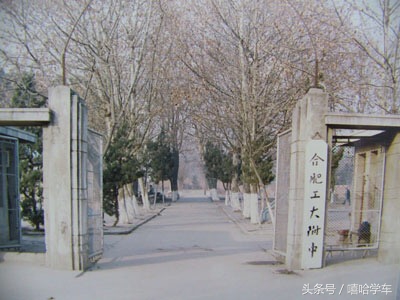 合肥各区较好的中学排名,合肥市较好的中学小学排名