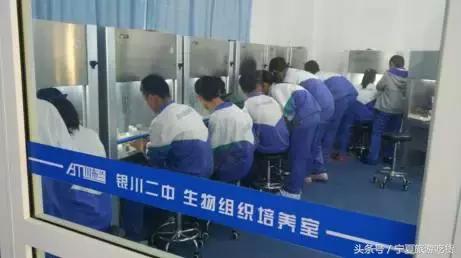 <html>
<head><title>502BadGateway</title></head>
<body>
<center><h1>502BadGateway</h1></center>
<hr><center>nginx</center>
</body>
</html>
<!--apaddingtodisableMSIEandChromefriendlyerrorpage-->
<!--apaddingtodisableMSIEandChromefriendlyerrorpage-->
<!--apaddingtodisableMSIEandChromefriendlyerrorpage-->
<!--apaddingtodisableMSIEandChromefriendlyerrorpage-->
<!--apaddingtodisableMSIEandChromefriendlyerrorpage-->
<!--apaddingtodisableMSIEandChromefriendlyerrorpage-->
