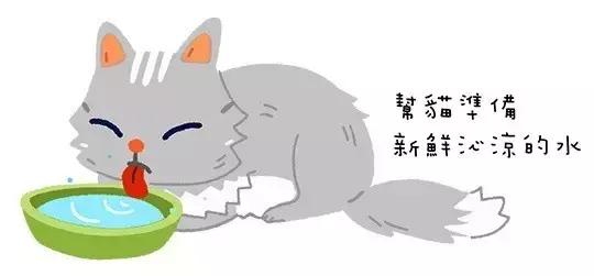 猫咪好活泼怎么办,猫咪好热用嘴呼吸