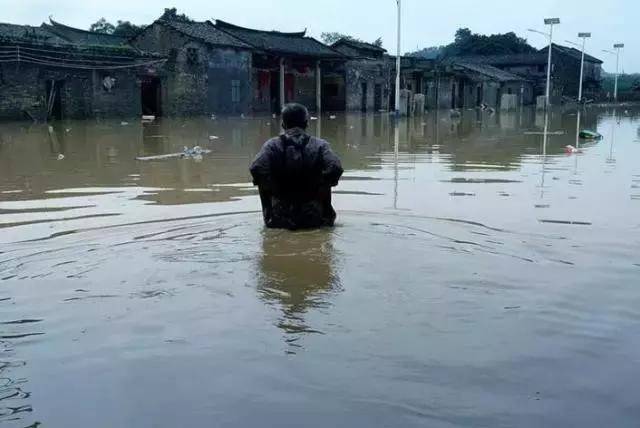 灾害之时要多思，菜价为何不如意（附广州江南0630菜价）