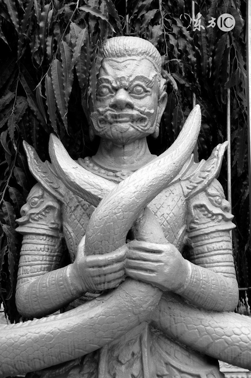 日本真人超级变态电影介绍由于画面恐怖所以没有上传电影本身图片请自行搜索