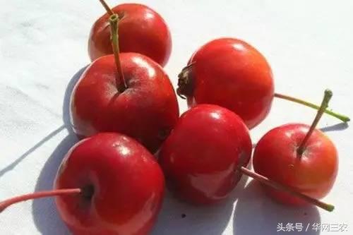 缅甸特产吃过3种算你牛？台州土特产出名啦看看有没有你老家的？网购的土特产都是家乡的味道？忻州特产？