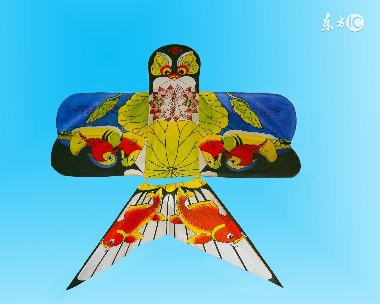 判断过敏性紫癜最简单的方法,过敏性紫癜的科普知识动画视频