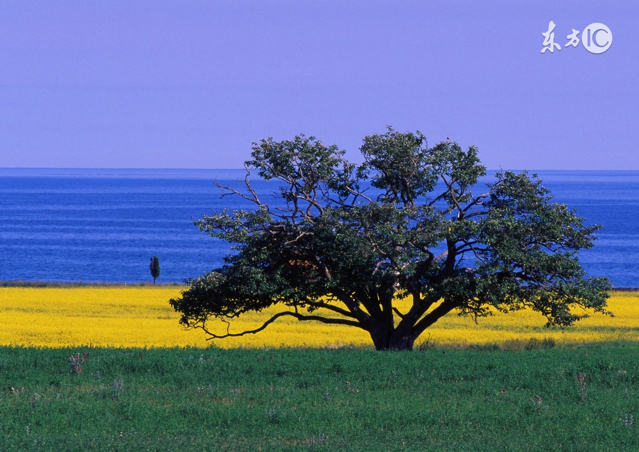杨保志广州,杨保志