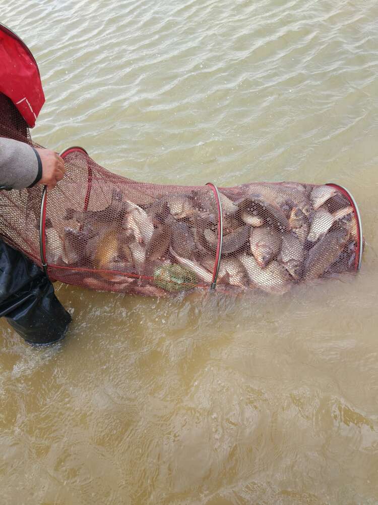 百姓钓鱼论坛plus专区,百姓钓鱼论坛官网