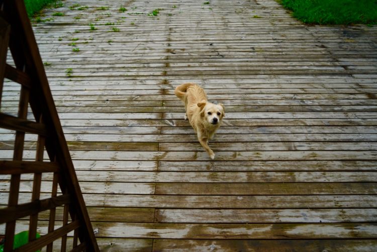 三八适合去哪玩,三八可以去哪玩