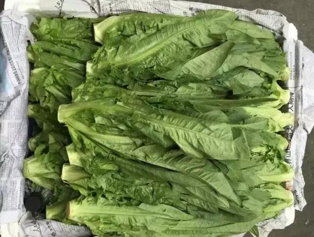 灾害之时要多思，菜价为何不如意（附广州江南0630菜价）