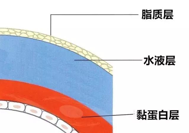 干眼测试多少算是干燥,测一测眼睛是什么类型