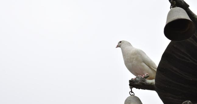 别走弯路了，今年养殖这十种动物“钱景最好”