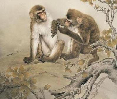 这3大生肖智商极高一生钱财无忧,迟早发家致富一鸣惊人的三大生肖